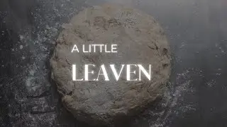Немного закваски