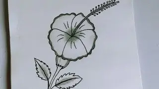 Hibiscus 🌺 flower drawing easy and beautiful ❤️
