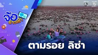 ตามรอย ลิซ่า แห่ชมทะเลบัวแดง | จ้อข่าวเช้า