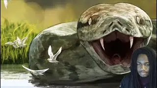 Titanoboa Wasn't The Largest Snake Ever (Reaction) (ExtinctZoo)