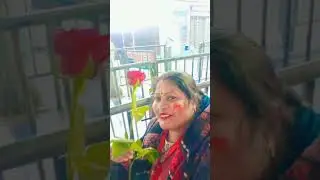 Ak Phool Gulab Ka Laya Hun Baba Tere Charanon Ke Liye 🌹🙏🏼 #KhatuShyambhajan #KhatuShyamlivedarshan