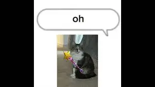 Fortnite cat #fortnite #rizz #ohio #brainrot #memes #juicewrld #gyatt #cute #cat #cutecat #mewing