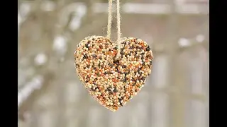 Birdseed Ornaments