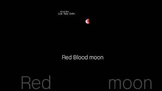 Blood Moon Live video #totallunareclipse  #lunareclipse2025  #bloodmoon