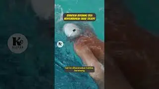 Benarkah Berenang Bisa Mengobati Saraf Yang Terjepit !!! #kesehatan #kliperchannel #sarafkejepit