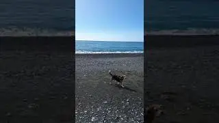 Nonza. Corsica 2018