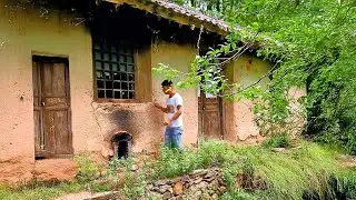 Can You Really Find SOLACE in Renovating a Lonely Old House?