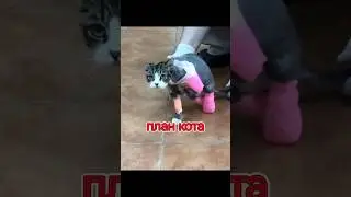 Приехал я как то за водой..