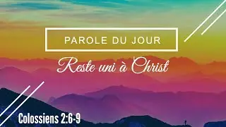 536 - Parole du jour : reste uni à Christ - Colossiens 2:6-9