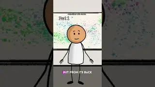 The strangest information 😳😱 #animation #anime #australia #shortvideo #usa#strange #info #us #king