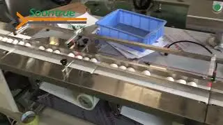 🎡 Fluffy Fun! Soontrue Cotton Candy Packaging Line with Turntable in Action! 🍭✨