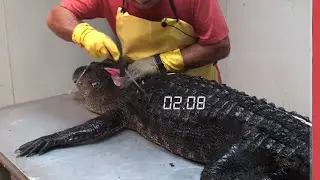 Fast Workers God Level 2018  (with Realistic Sound )
