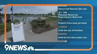 Toxic algae present in at least 4 lakes in Colorado