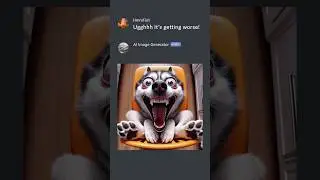 Sneaky Chihuahua Got Exposed! #memes
