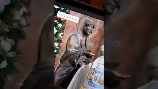 Pope Francis to Break Tradition With Burial Outside Vatican | Pope Francis Death