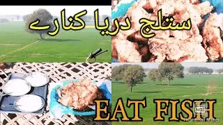 A DAY NEAR THE SATLUJ RIVER||EAT THE FRY FISH||DESE STYLE FRY FISH