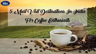 5 Must Visit Destinations In India For Coffee Enthusiasts