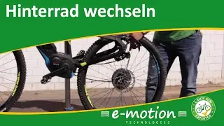 Hinterrad wechseln beim e-Bike /Pedelec - Wie geht das?