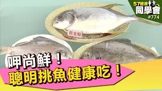 呷尚鮮！聰明挑魚健康吃！【57健康同學會】第774集 2013年