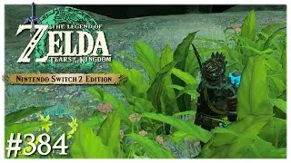 Der Schatz des Schmiedes | The Legend of Zelda: TotK #384 [Blind]