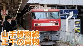 【これが本来の山手貨物線】3086レ　新宿駅1番線　EH500-22通過シーン