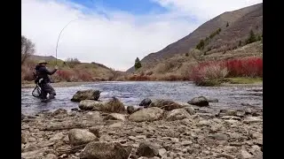Tenkara Fishing the Lower Provo River