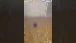 Among Us Jump Edition