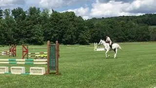 Silver King Gilbertsville