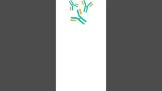 Evolution|Vestigial Organs #shorts #biology #vestigialorgans #evolution