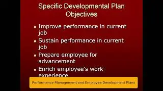Performance Management and Employee Development Plans