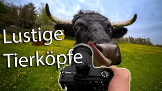 FOTO to GO 19 📸 Tiere lustig mit Weitwinkel fotografieren u. in Lightroom bearbeiten