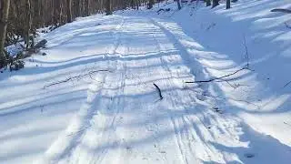 Great conditions for Trail running in State Game Lands 106-PA.