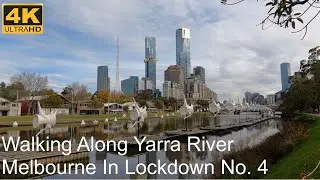 Walking Along The Yarra River During Lockdown No. 4 | Melbourne Australia