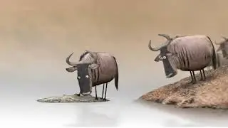 Video Marketing Agency In Bronx; New York - Manhattan Video Marketing New York
