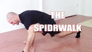 The Spiderwalk