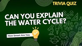 Can You Explain the Water Cycle?