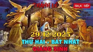 Trực tuyến Thánh Lễ hôm nay 4:00:AM Thứ Hai ngày 29/12/2025 - Trực tiếp Thánh lễ hôm nay | TLTT