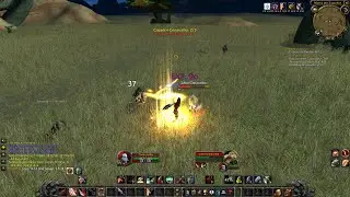 WoW Hardcore - No Quest Addons!! Warrior LVL 14