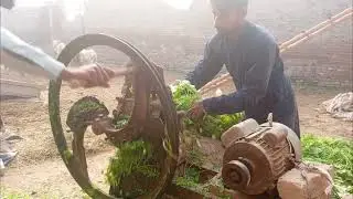 Pure Natural ASMR 🌿 Hand Grass Cutting | No Machine &bull; No Electricity | Deep Relaxation 😌