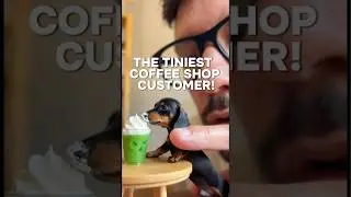 Самый крошечный посетитель кофейни! ☕🐶 Такой маленький, что помещается на пальчике.