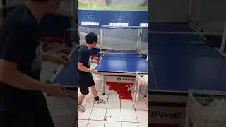 belajar latihan servis #pingpong #shorts