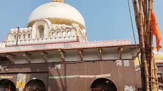 11 जनवरी 2026