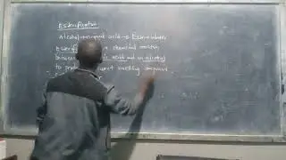 organic chemistry esterification