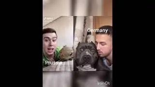 Hetalia memes from tik tok part idk