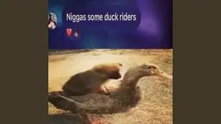 cocky #mixx
