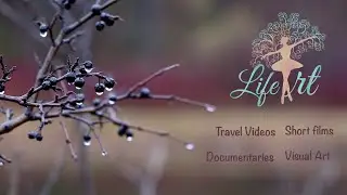 LIFE ART (Travel Videos _ Documentaries _ Short films _ Visual Art)