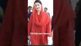 CM Maryam Nawaz fans level good