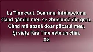 NEGATIV - La Tine Caut Doamne Adăpost / Romeo Stan (2025)