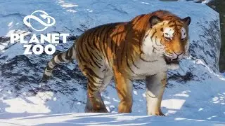 O MAIOR FELINO DO MUNDO está SOLTO - Planet Zoo