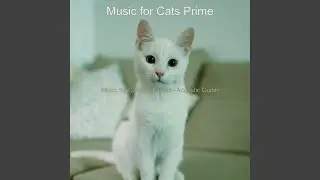 Refined Music for Home with Cats